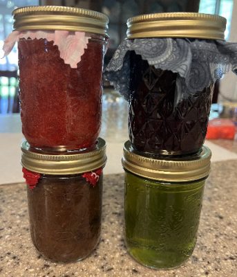 Jars of Jelly By Shelley jam and jelly